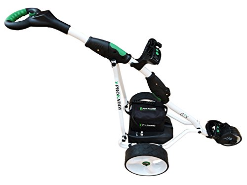 Carro Golf Electrico